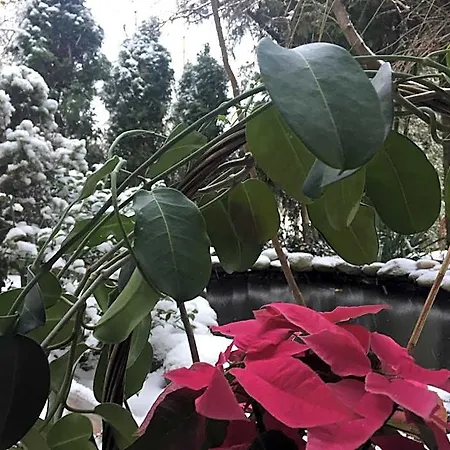Panorama Bh Siedlce