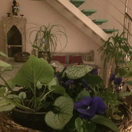 מלון Panorama Bh 2*