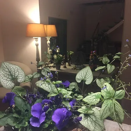 Panorama Bh 2* Siedlce