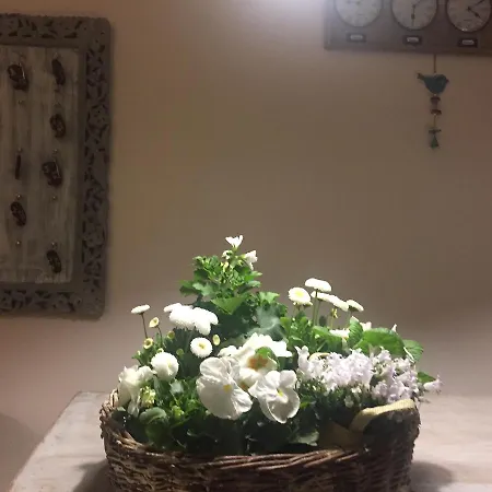 Panorama Bh 2* סידלצה