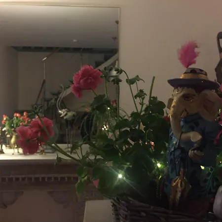 Panorama Bh 2* סידלצה