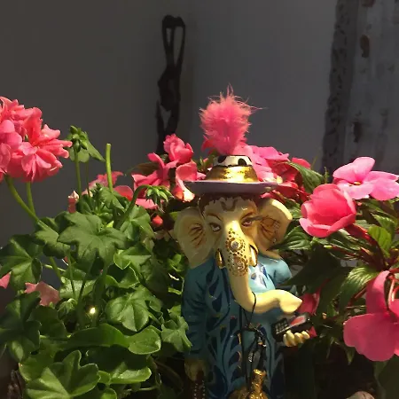 Panorama Bh 2* סידלצה