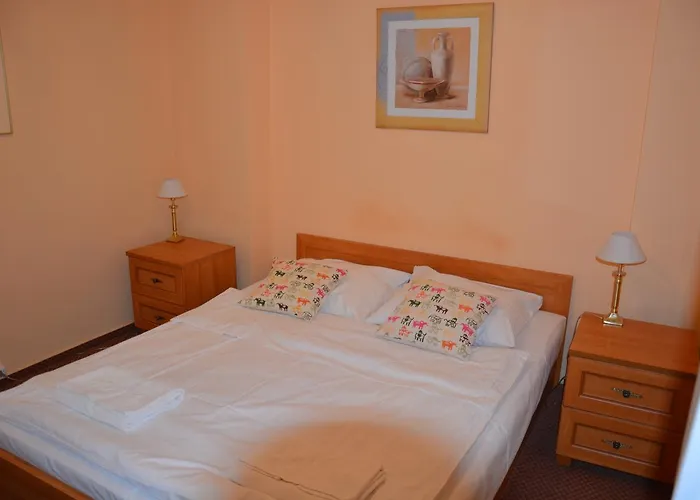 Hotel Panorama Bh 2*