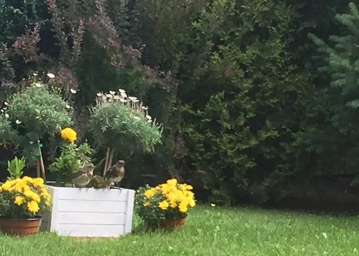 Panorama Bh 2* Siedlce