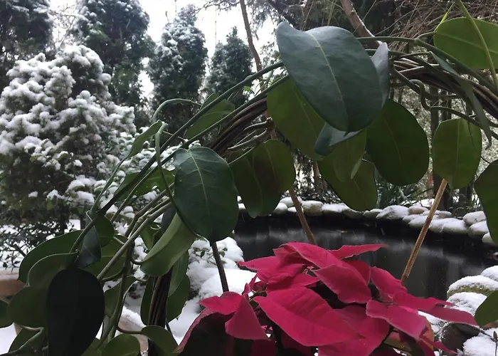 Panorama Bh 2* Siedlce