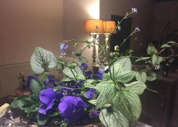 Hotel Panorama Bh 2*