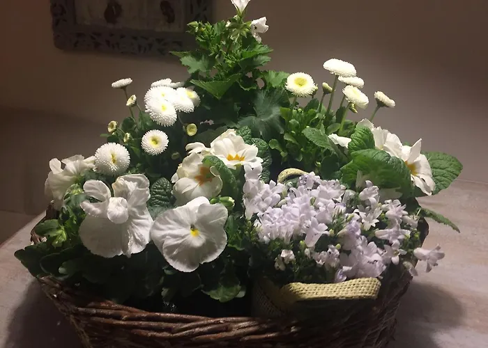 Panorama Bh 2* Siedlce