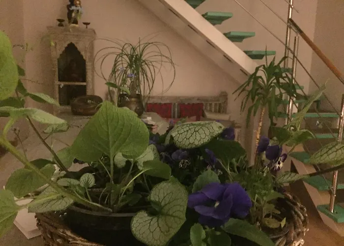 Hotel Panorama Bh 2*