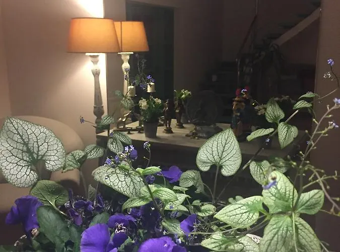 Panorama Bh 2* Siedlce