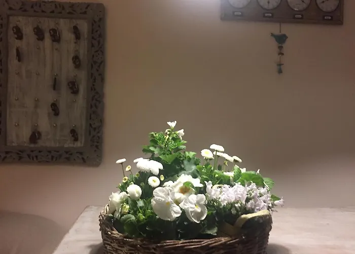 Panorama Bh 2* Siedlce