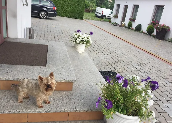 Hotel Panorama Bh 2*