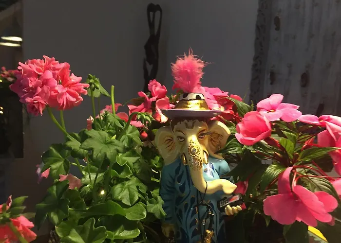 Panorama Bh 2* Siedlce