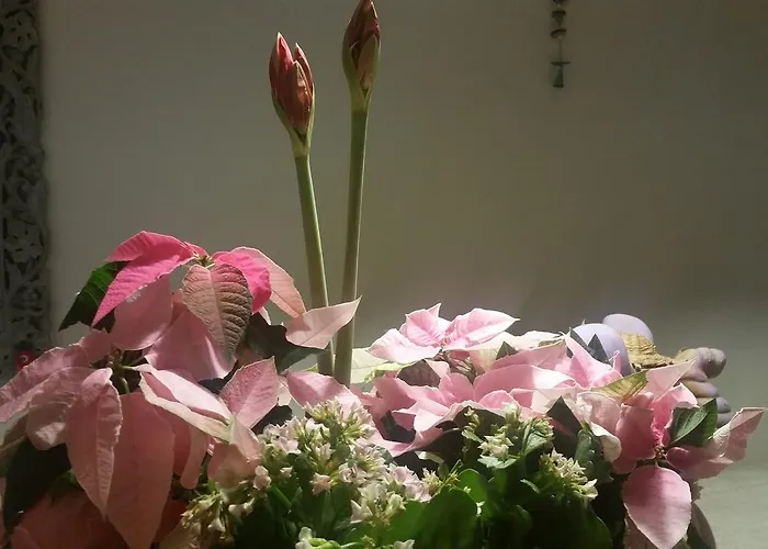 Hotel Panorama Bh 2*