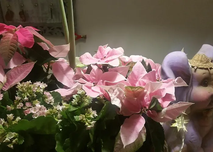 Panorama Bh 2* Siedlce